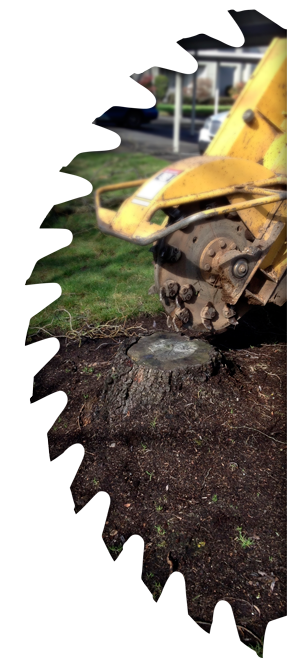 Stump Grinding